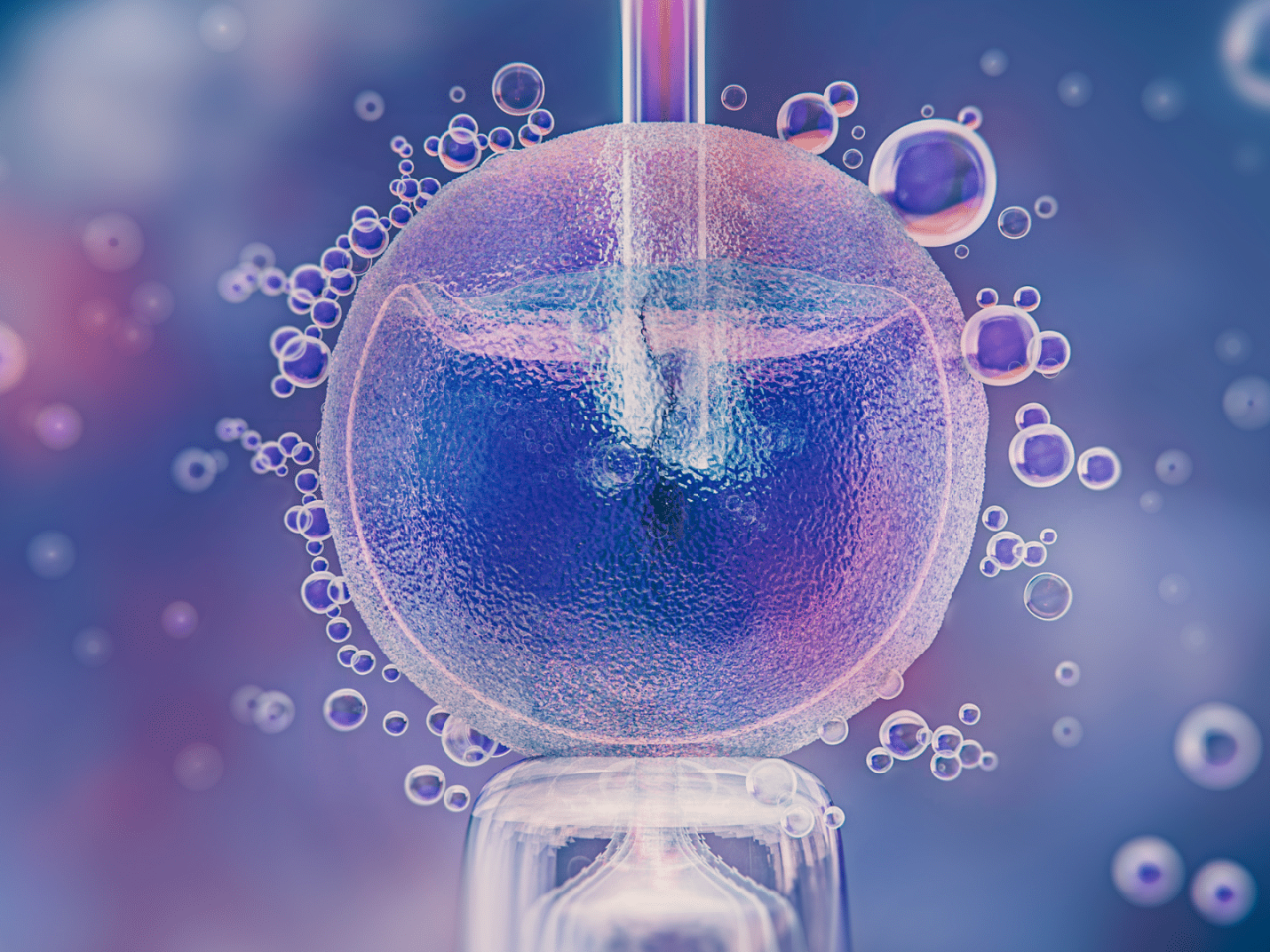 https://hsfckenya.com/wp-content/uploads/2023/09/HSFC-Kenya-090-IVF-1920x1080-1-1280x960.png