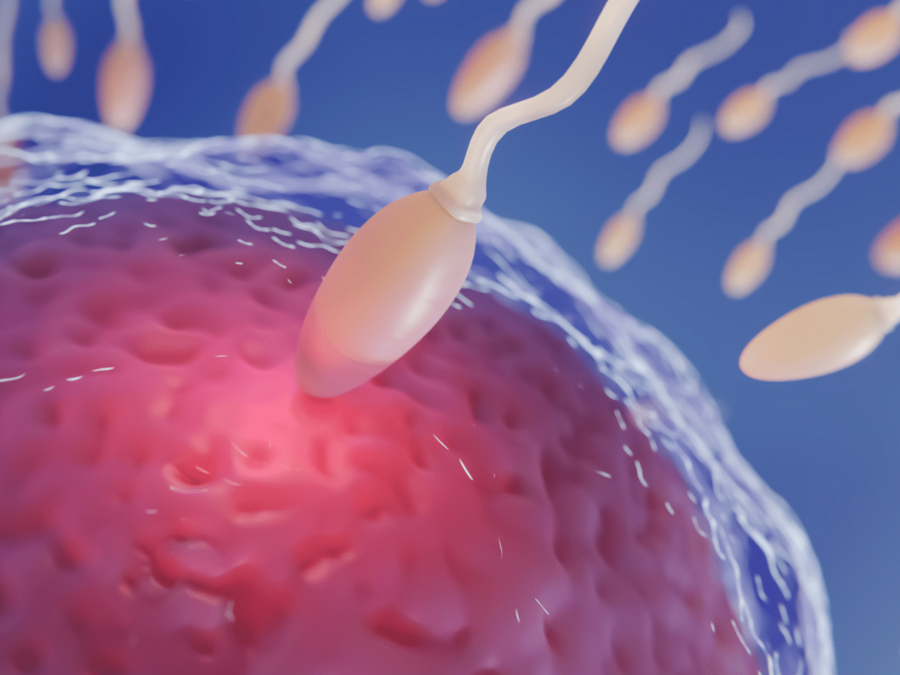 https://hsfckenya.com/wp-content/uploads/2023/09/HSFC-Kenya-108-Ovulation-Induction-Timed-Intercourse-1920x1080-1-1280x960.png
