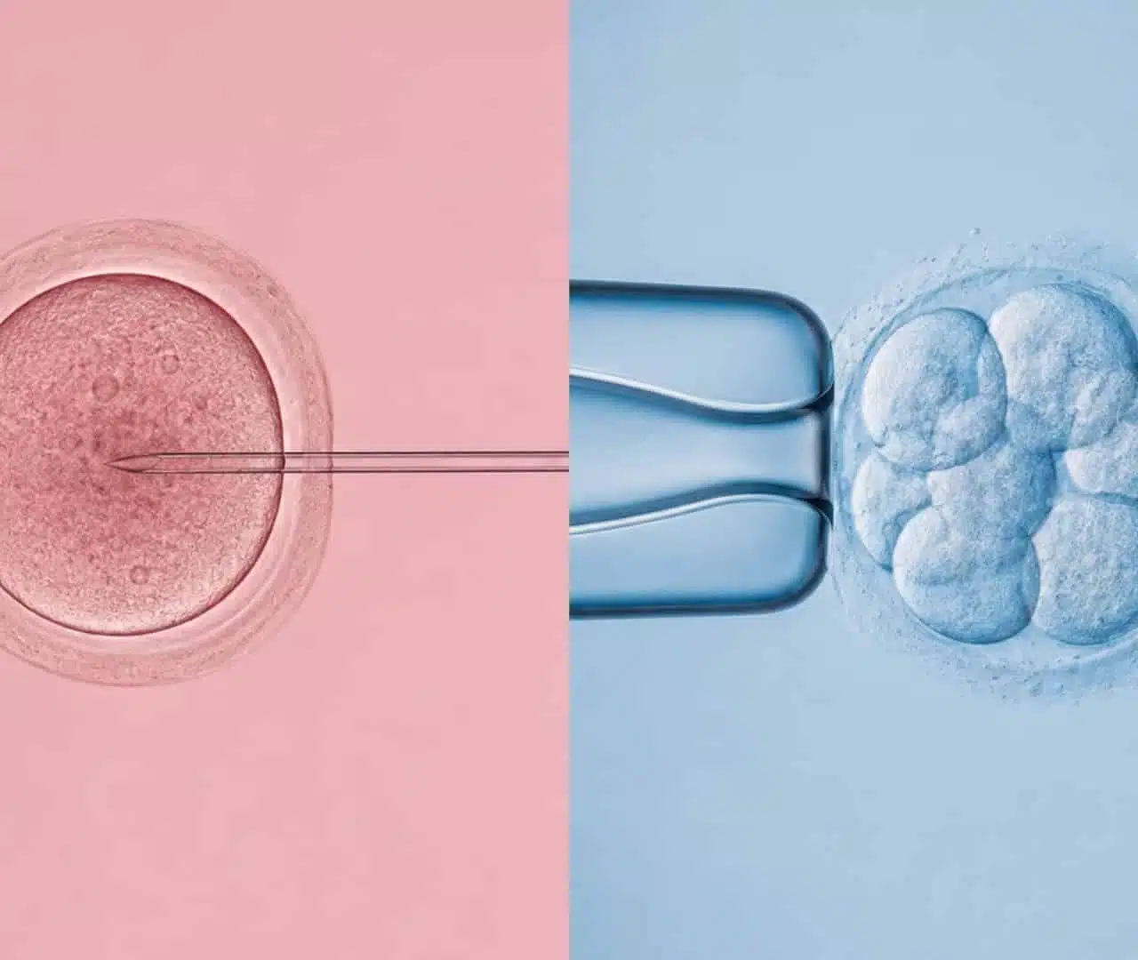 Egg-Freezing-vs.-Embryo-Freezing.-Which-one-should-you-choose-1280x1080.jpg
