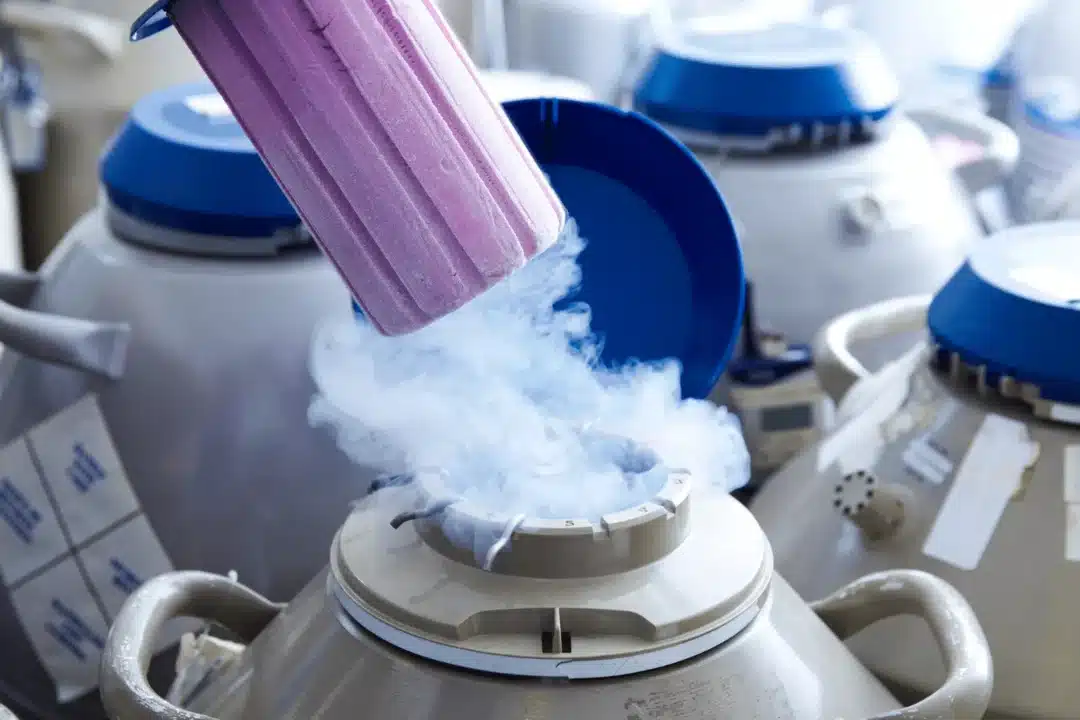 Fertility Preservation in the Face of Cancer