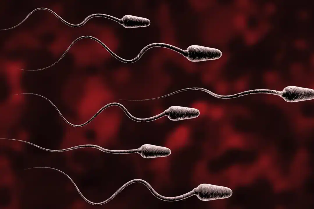 Healthy sperm: Improving your fertility
