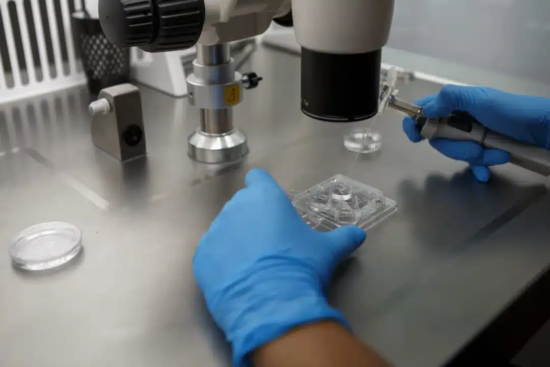 How Does In Vitro Fertilisation (IVF) Work?