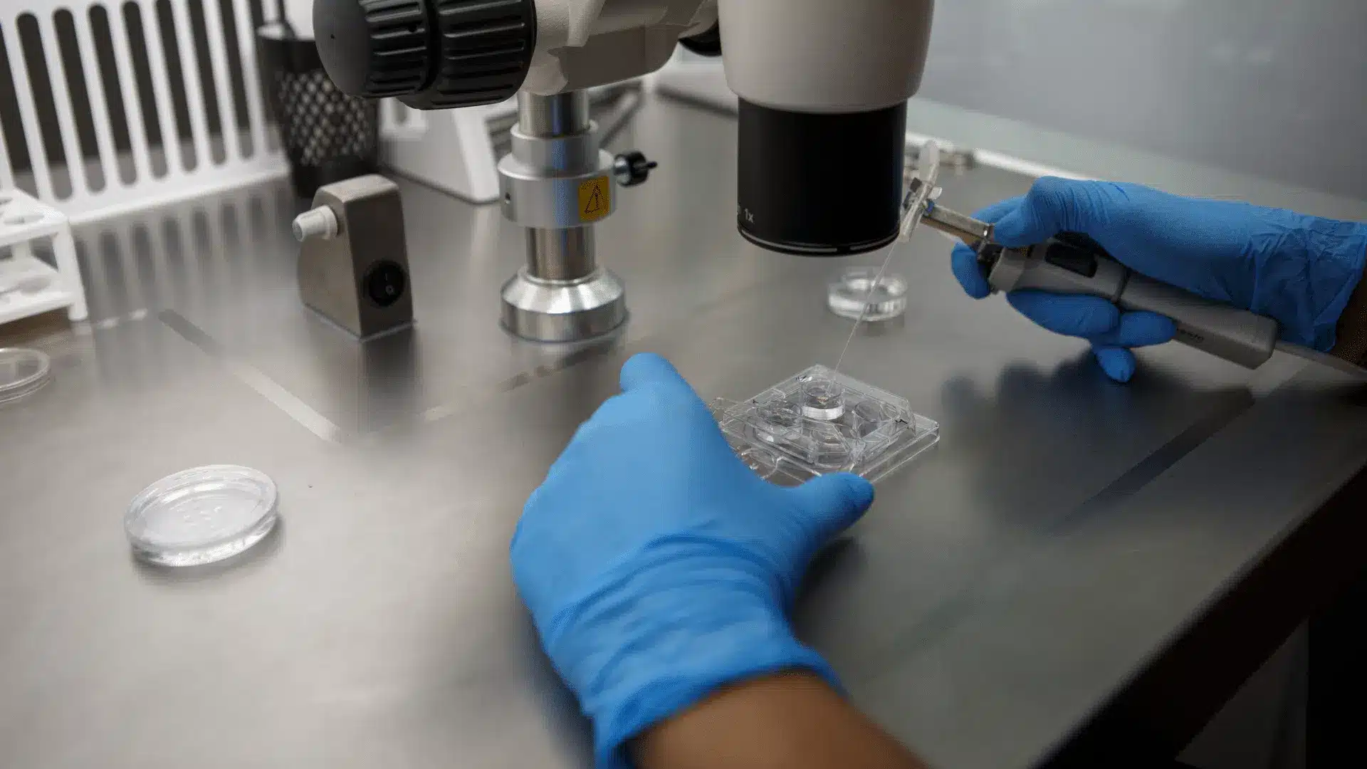 How-Does-In-Vitro-Fertilisation-IVF-Work.png