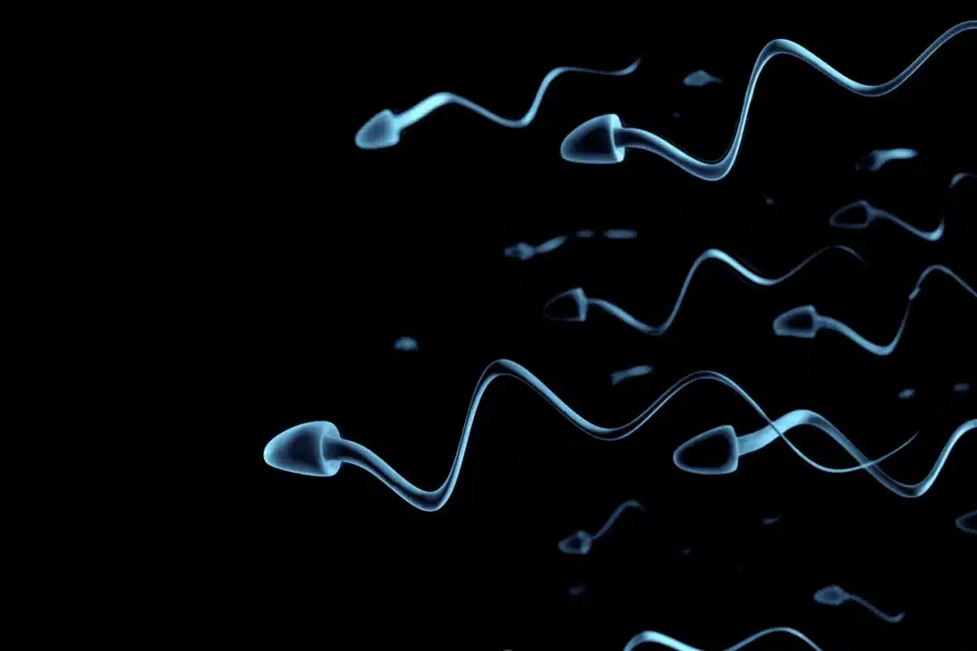 Low Sperm Count: Symptoms and when to see a doctor