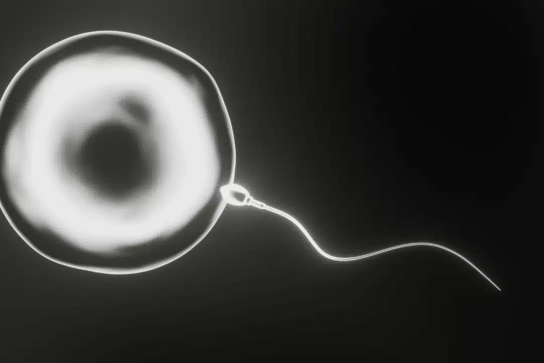 Measurement and Improvement of Egg Quality