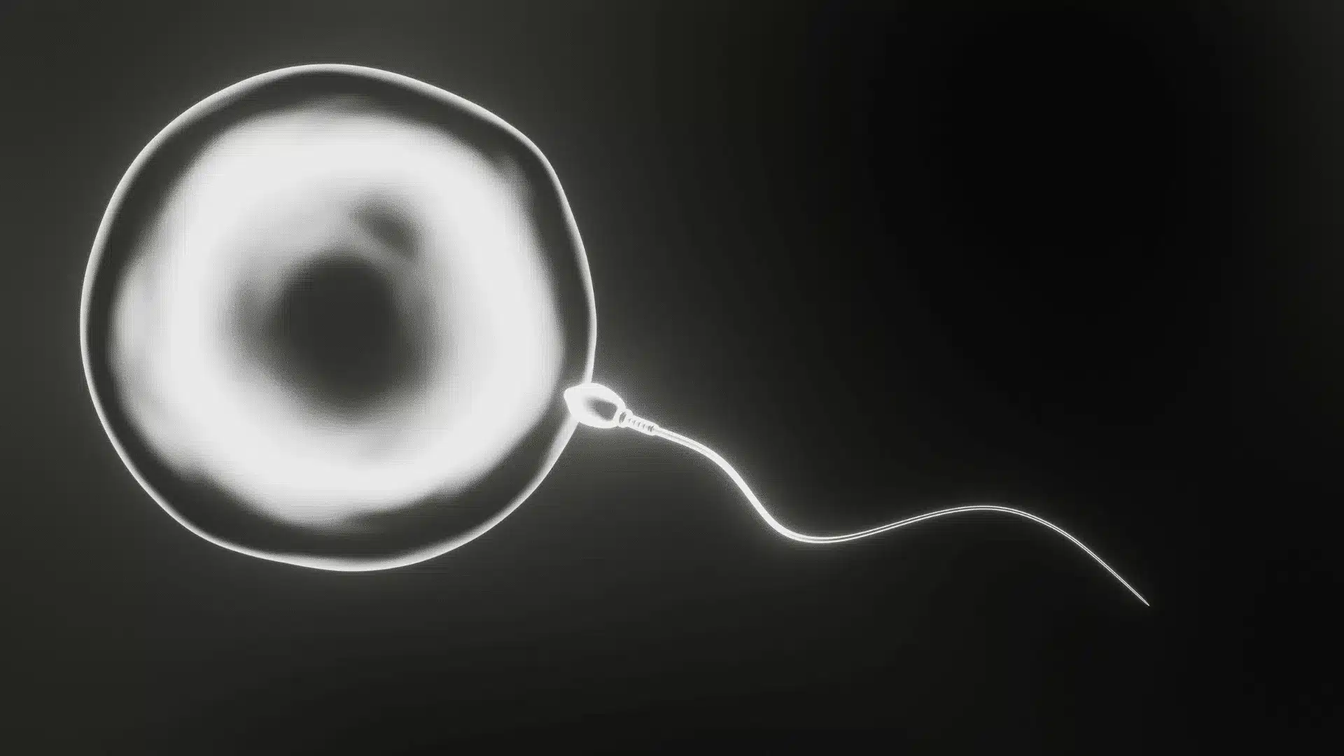 Measurement-and-Improvement-of-Egg-Quality.png