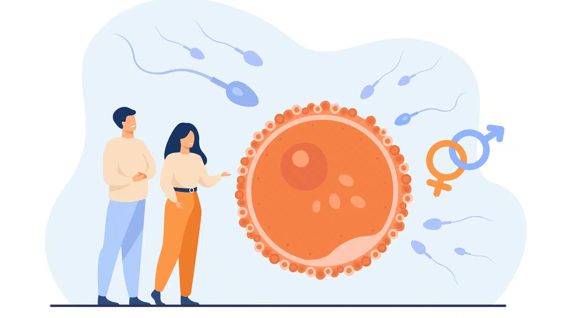 True-or-False_-Fertilisation-happens-in-the-uterus.png