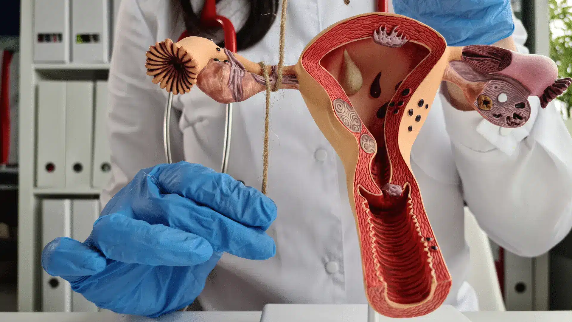 What-is-Fallopian-tube-obstruction.png