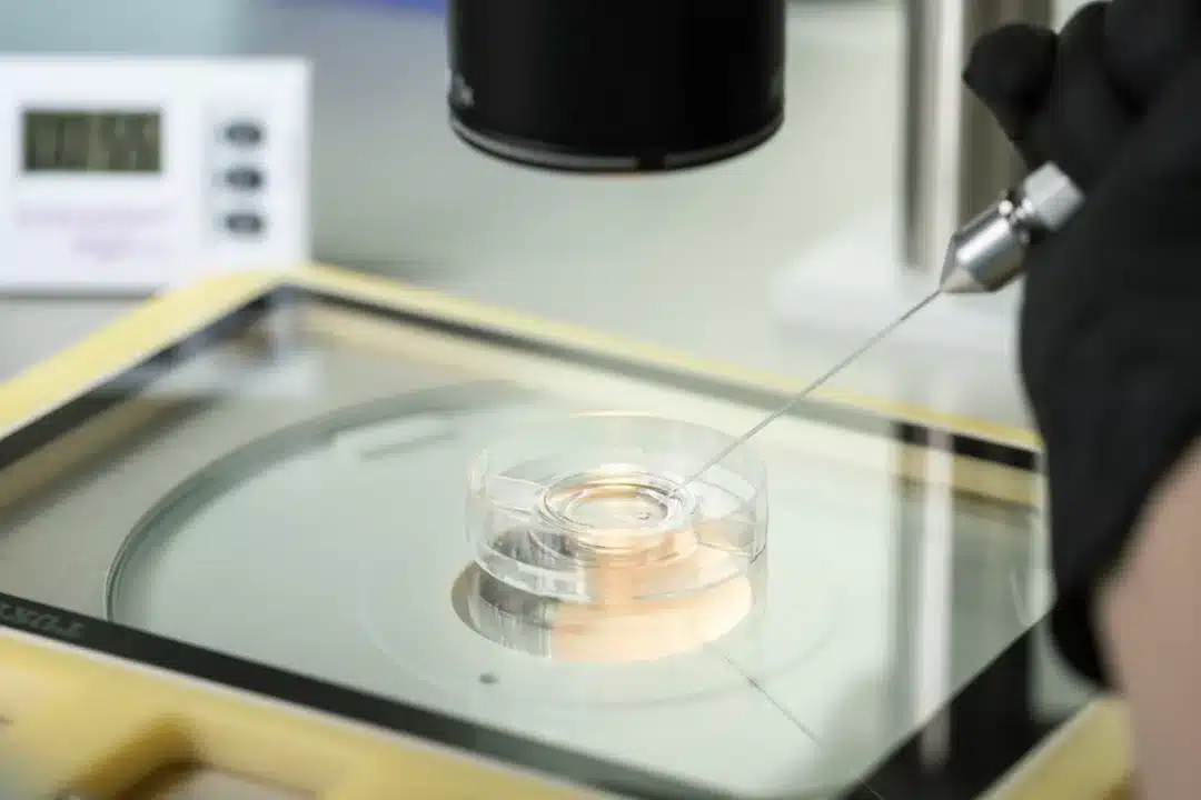 What’s the difference between IVF and IUI ?