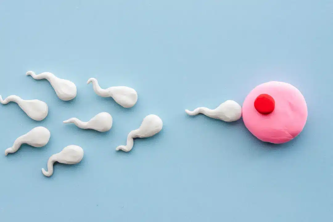 Who Needs Donor Eggs or Sperm in Kenya?