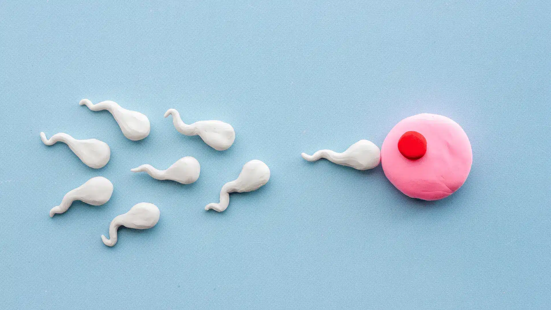 Who-Needs-Donor-Eggs-or-Sperm-in-Kenya.png